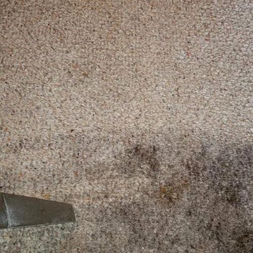 Proclean Of Michigan Adrian, MI Thumbtack