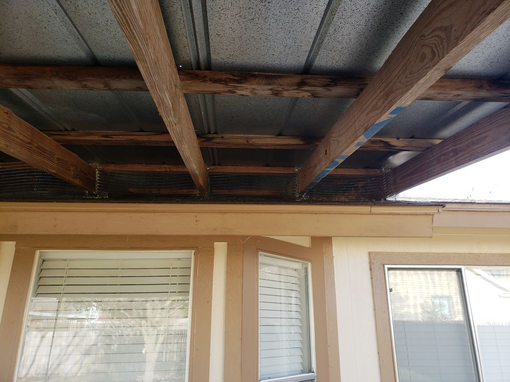 durable screening installed to exclude squirrels a