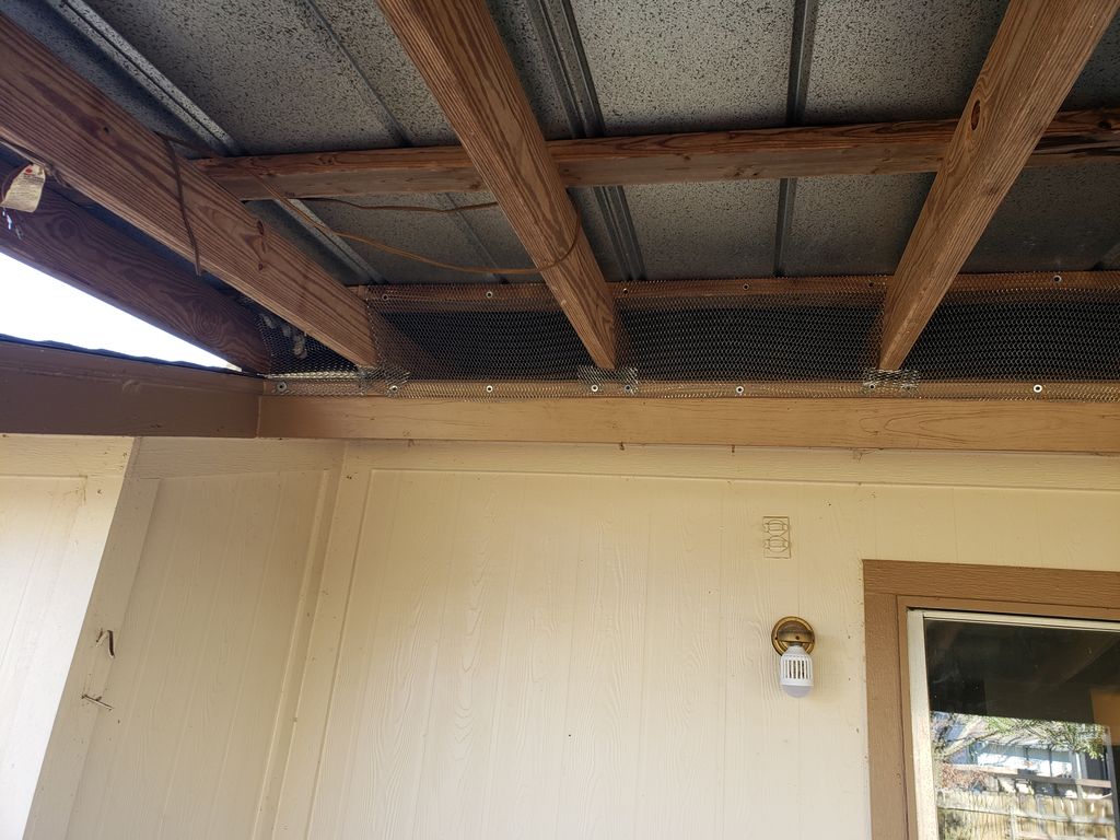durable screening installed to exclude squirrels a