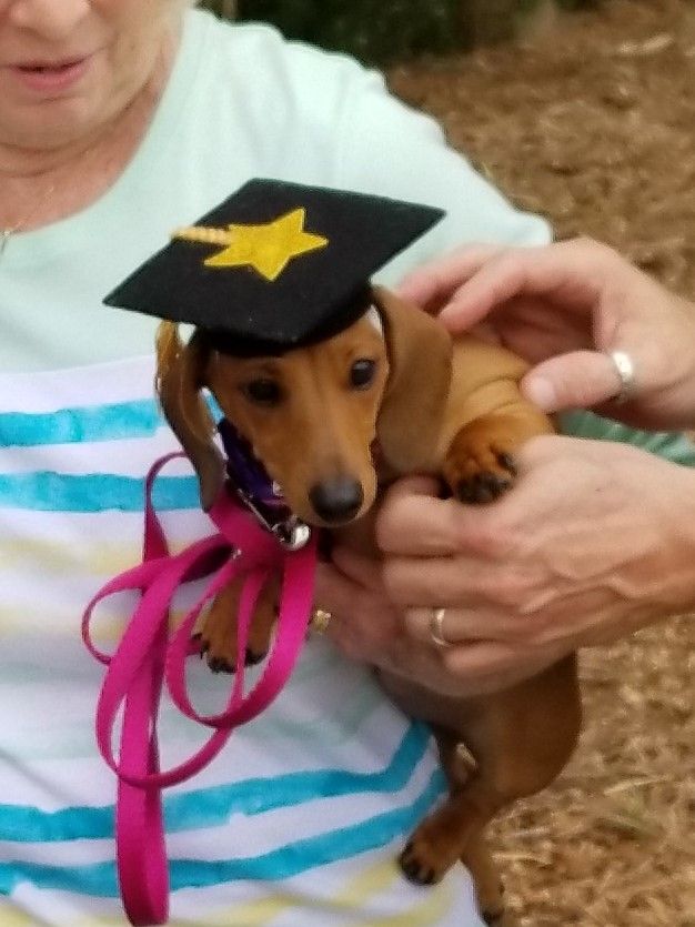 Toolie graduating 3/2019