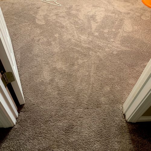 Our dog tore up our carpet in my sons bedroom. He 