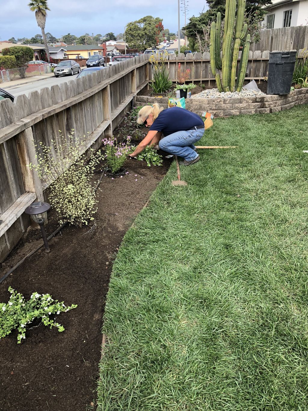 Plants in....