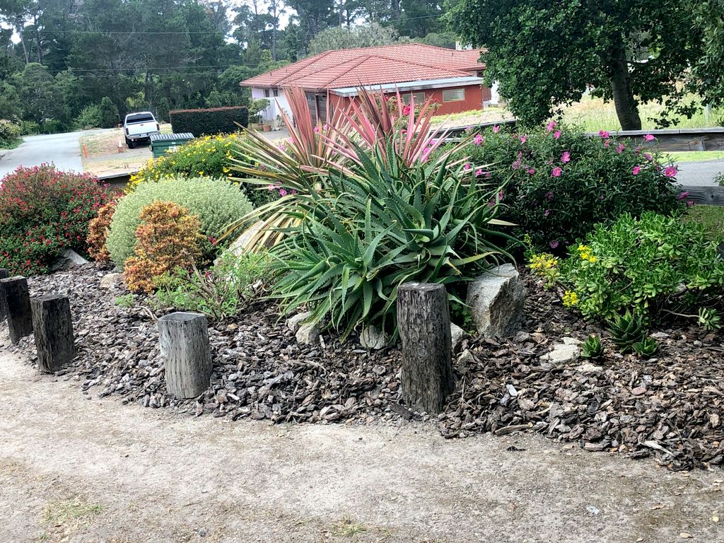 Drought resistant, Deer Proof Garden Bed.