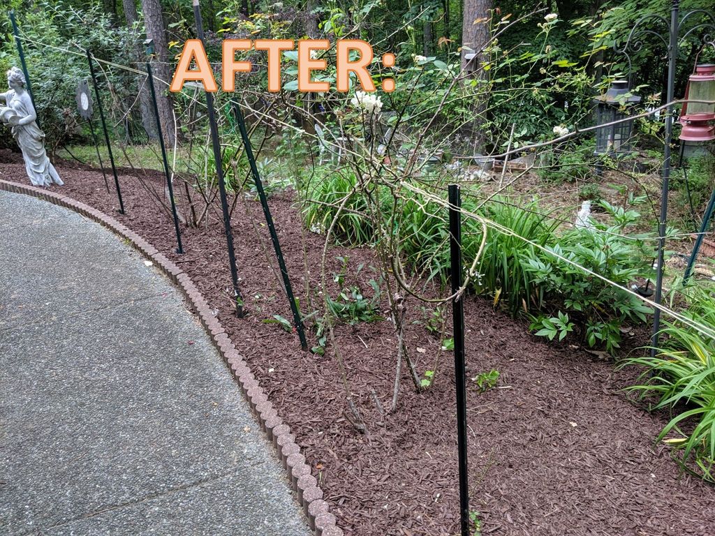 Customer photos