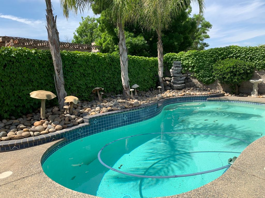 Backyard cleaning 