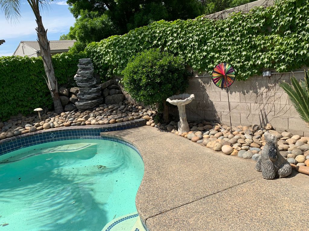 Backyard cleaning 