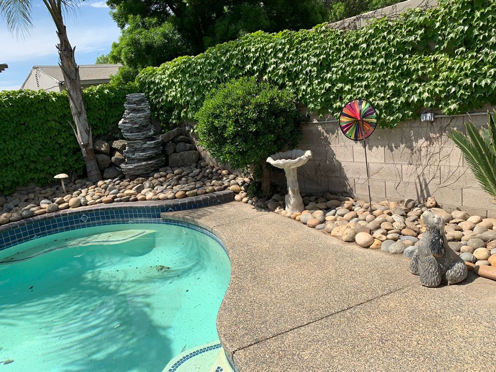 Backyard cleaning 