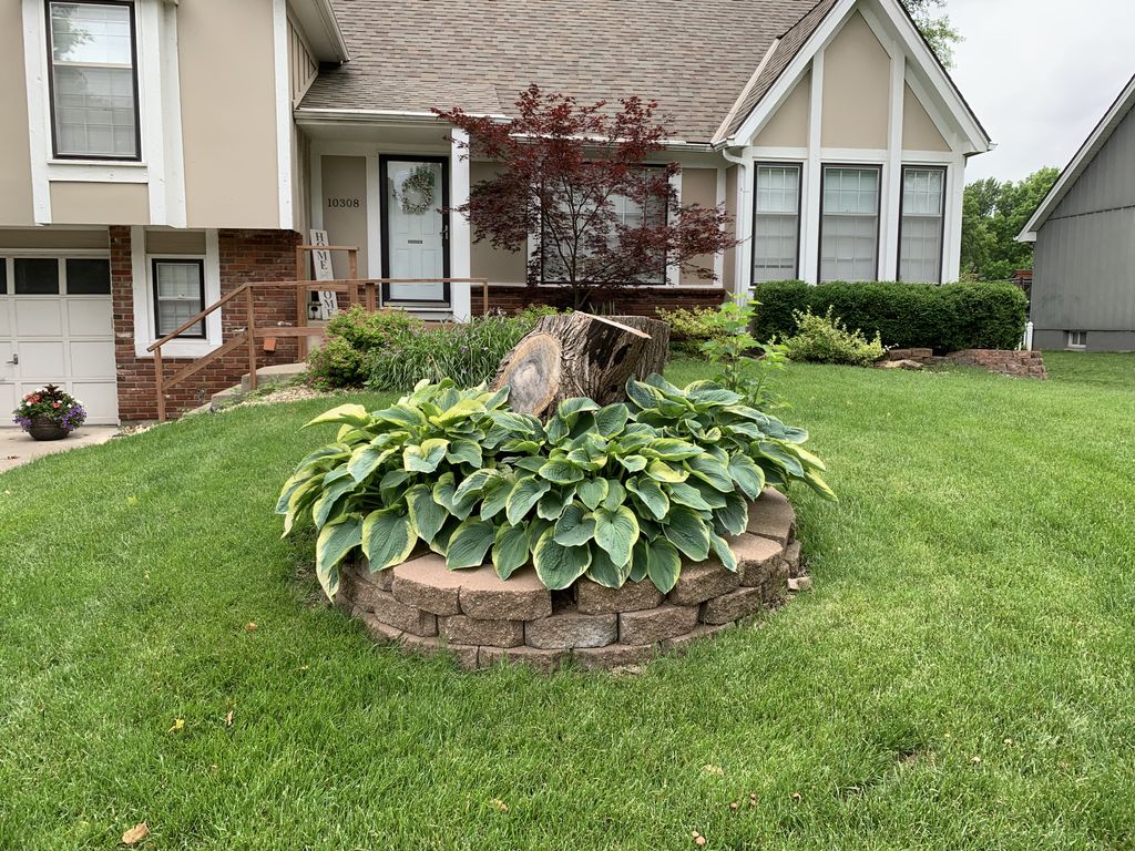 Tree Stump Grinding and Removal