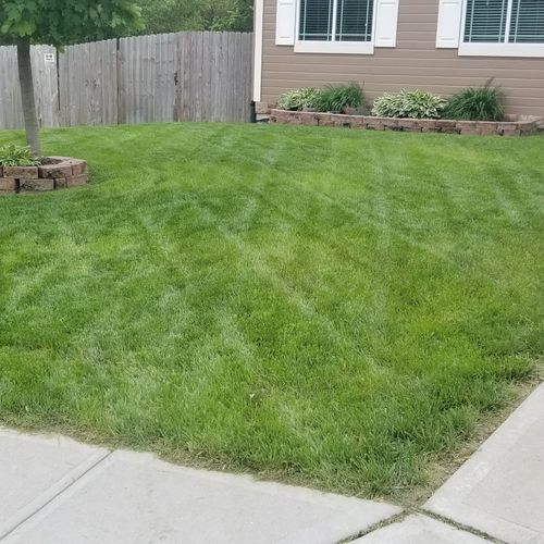 Clear cut lawn did an amazing job on my yard , ver