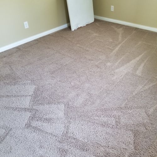 Myoshia clean carpet