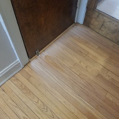 Fords Carpet Hardwood Floor Cleaning Chicago Il