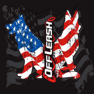 canine off leash training