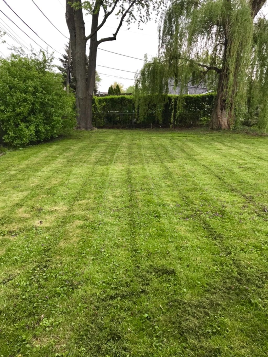 Customer photos