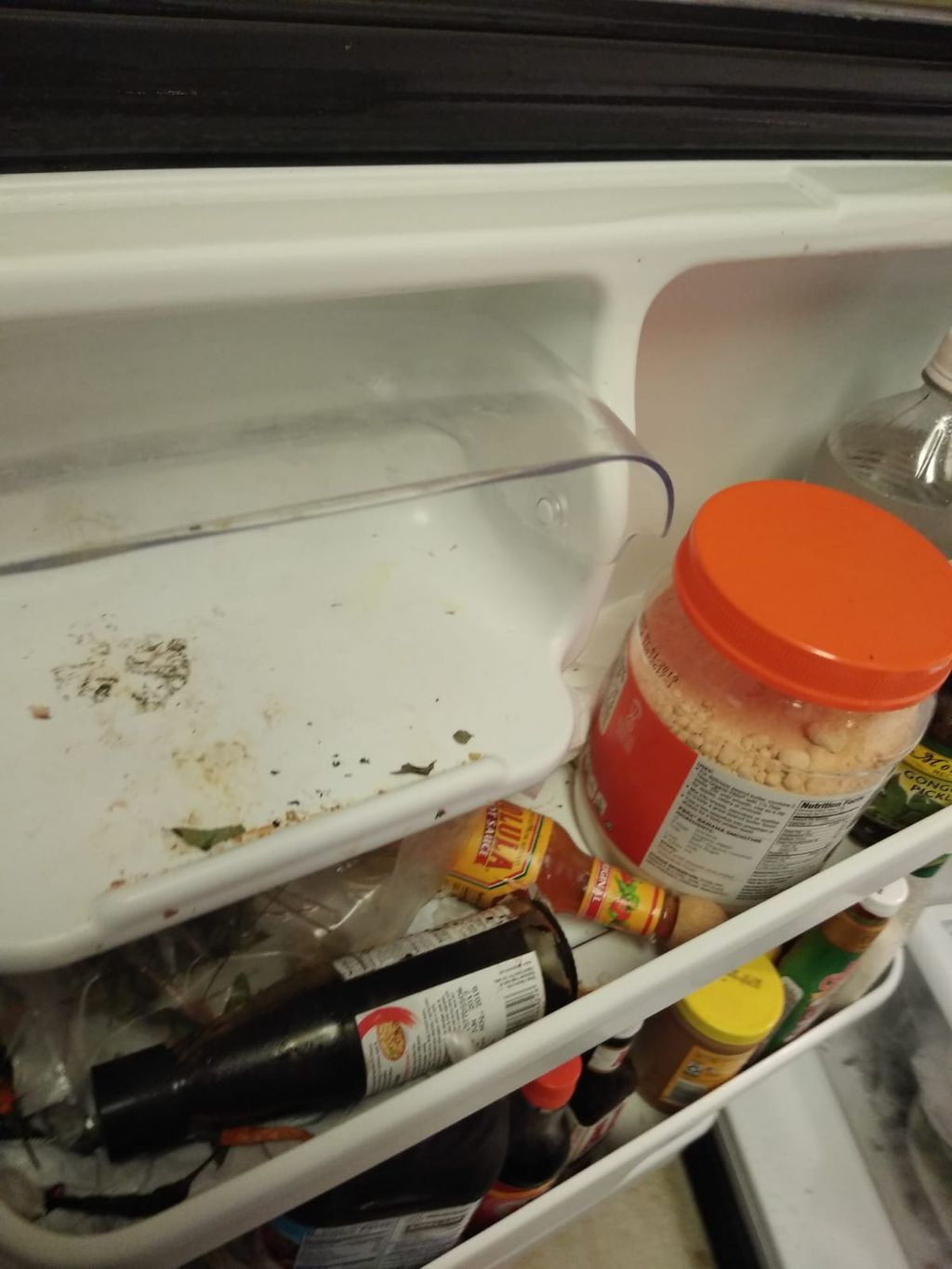 Before Fridge Door 1