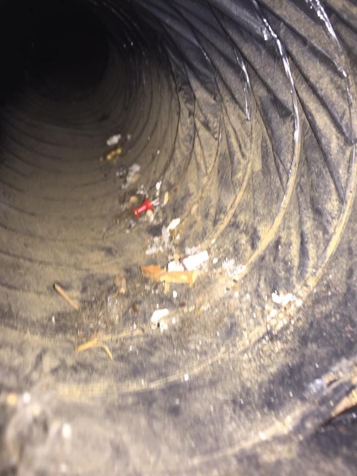 Duct and Vent Cleaning