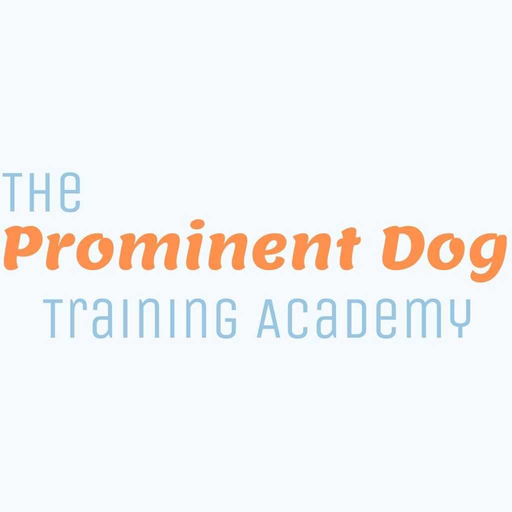 The Prominent Dog Training Academy