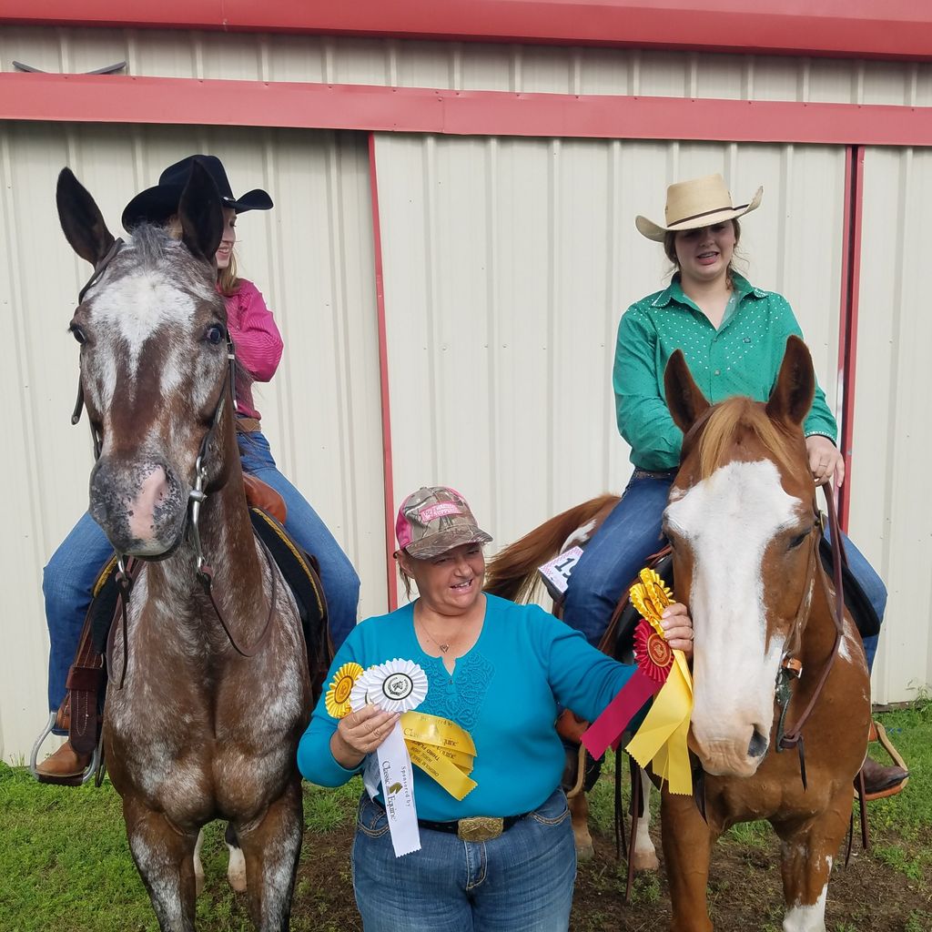 Solomon Show Horses