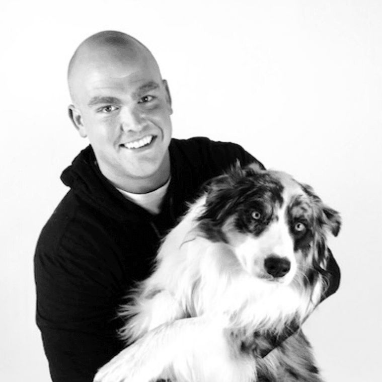 day camp for dogs near me