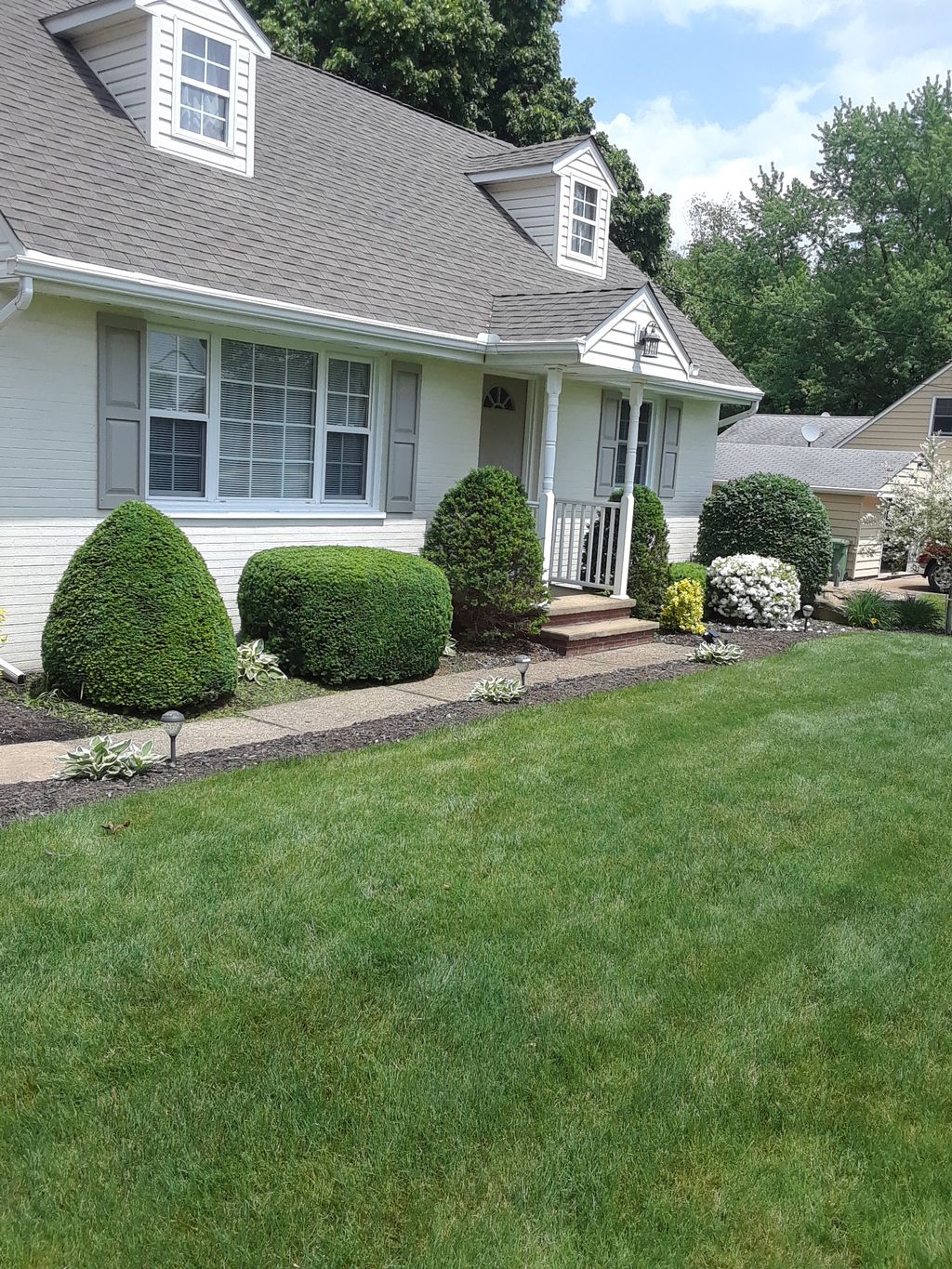Hedge trimming