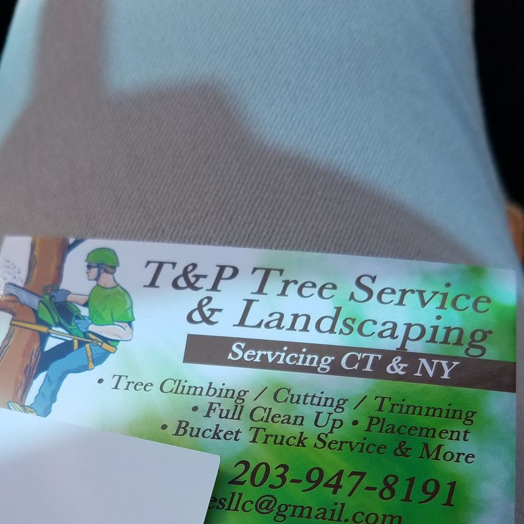 T&P Tree services & Landscaping LLC