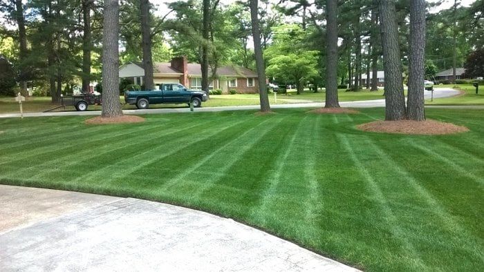 TENNESSEE GREEN Lawn & Landscaping