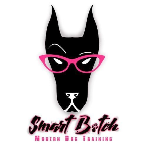 Smart Bitch Modern Dog Training