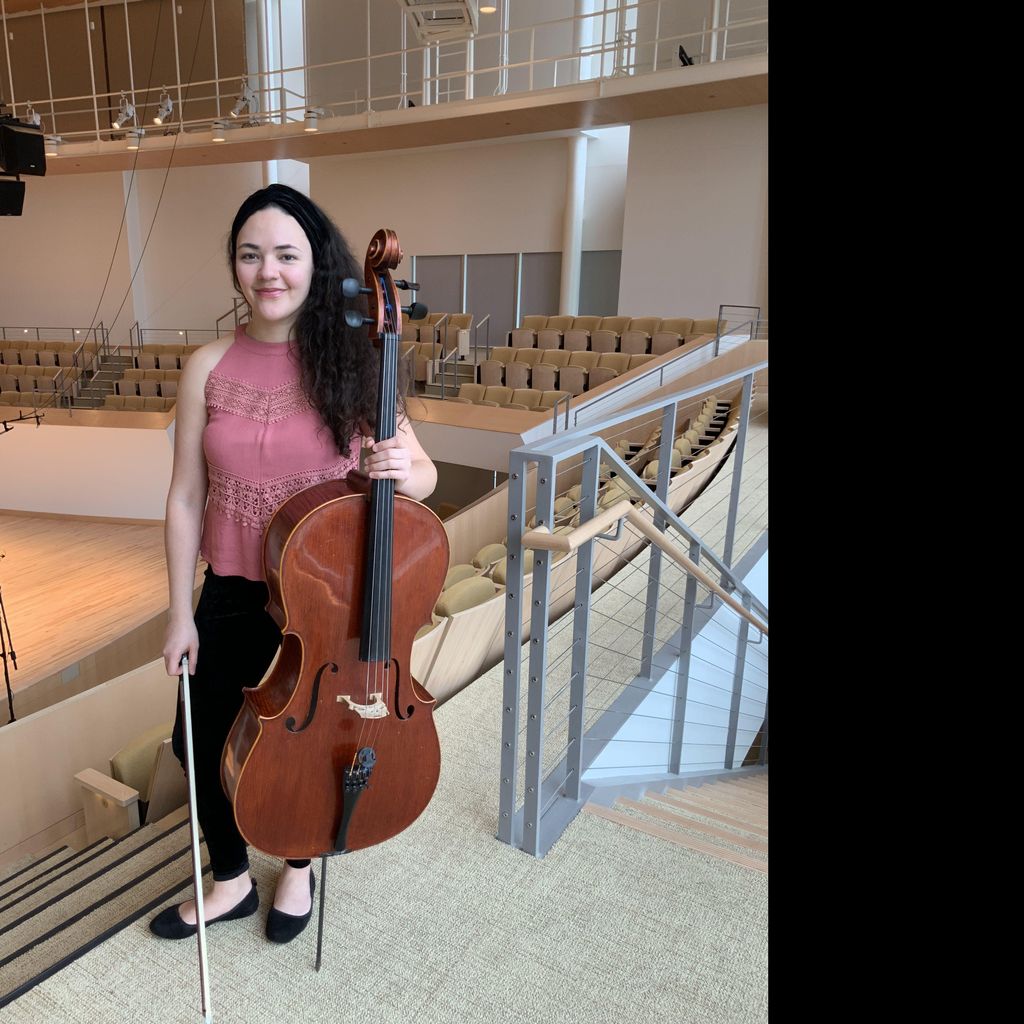 String Lessons - Cello - Viola - Violin