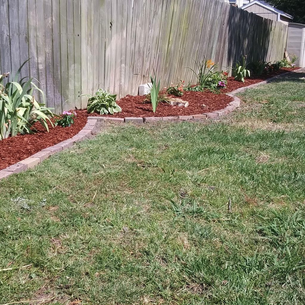 Lobos landscapin