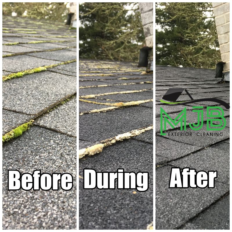 Roof Cleaning 'in action'