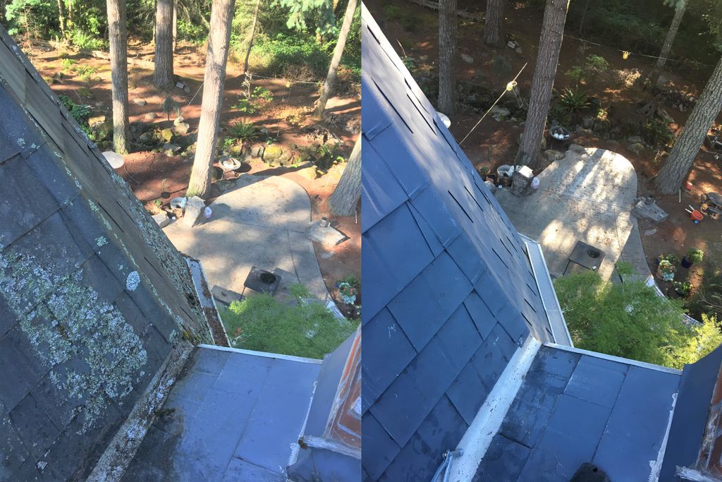 Softwash Roof Cleaning