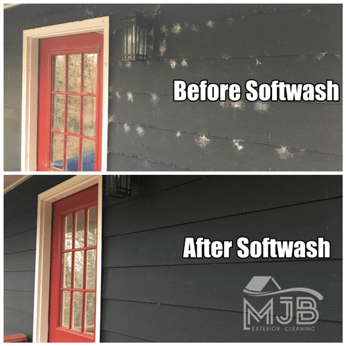Siding Cleaned