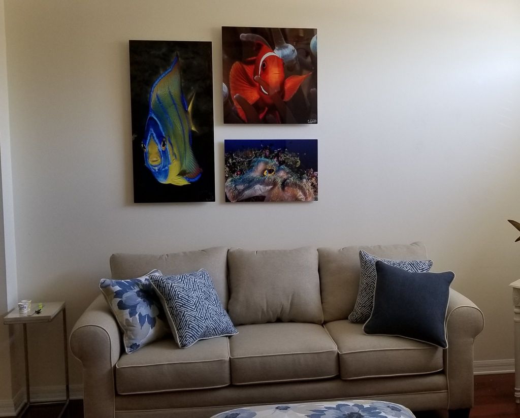Customer photos