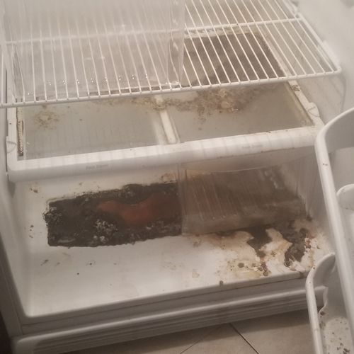 fridge before 