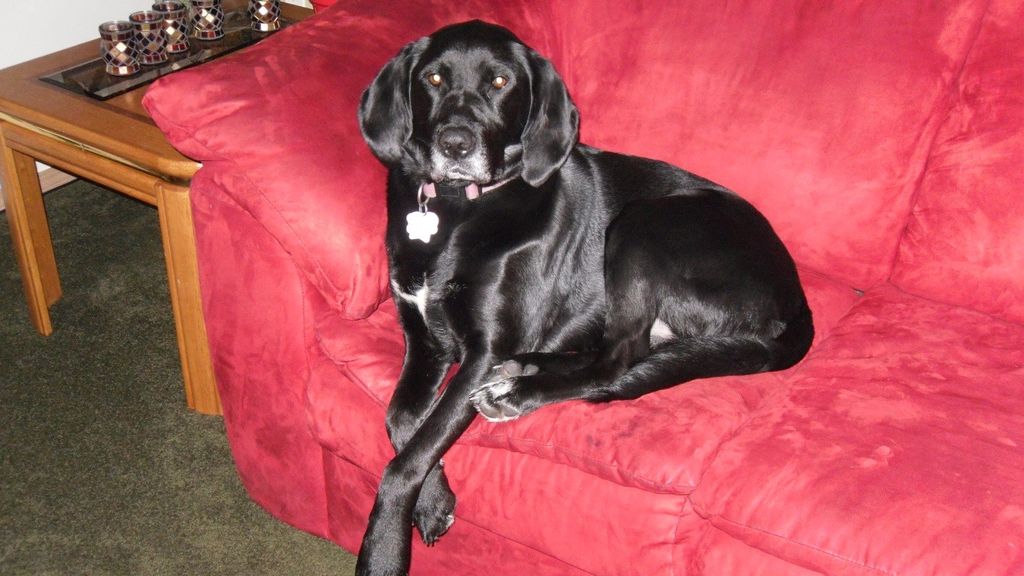 Sweet Izzabelle