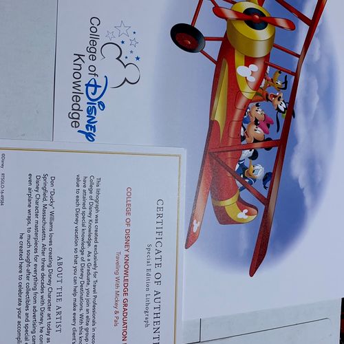 Certified Travel Partner with Disney