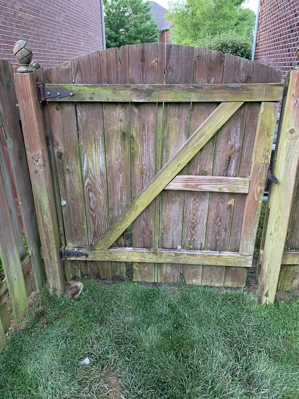 Customer photos