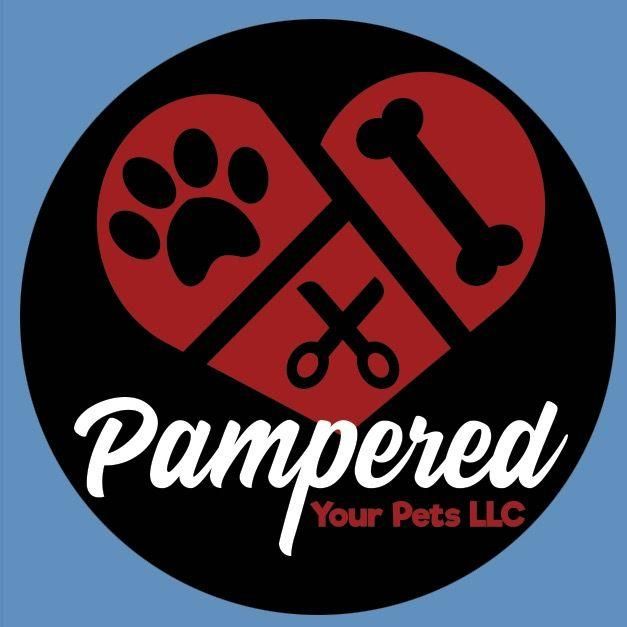 Pampered your pet