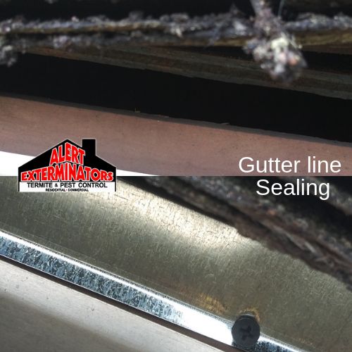 Before and After - Gutter line Sealing