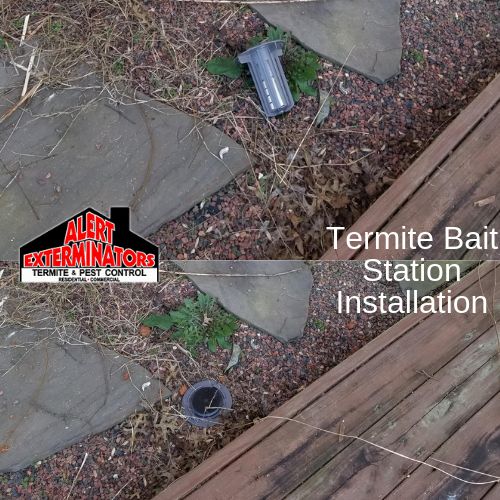 Termite Bait Station Installation - Before and Aft