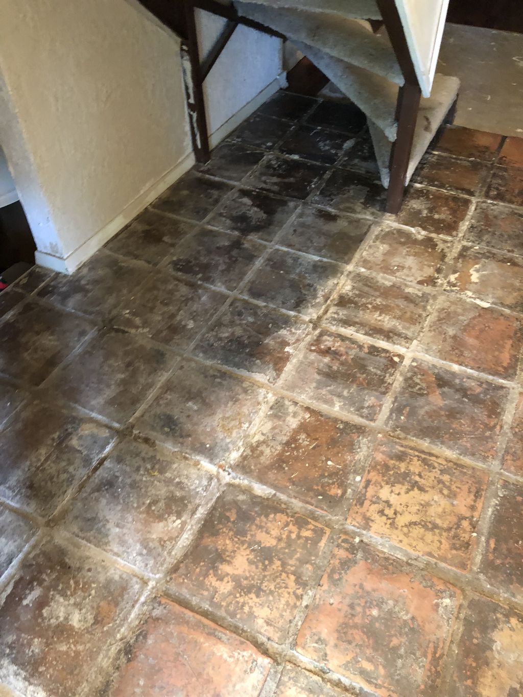 Tile and Grout Cleaning