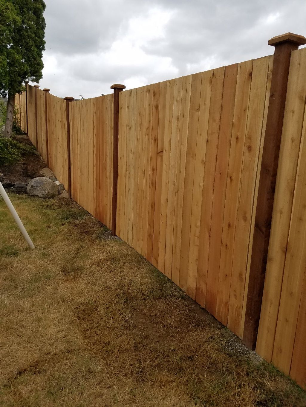 Customer photos