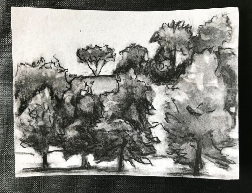 Boboli Gardens 2019
