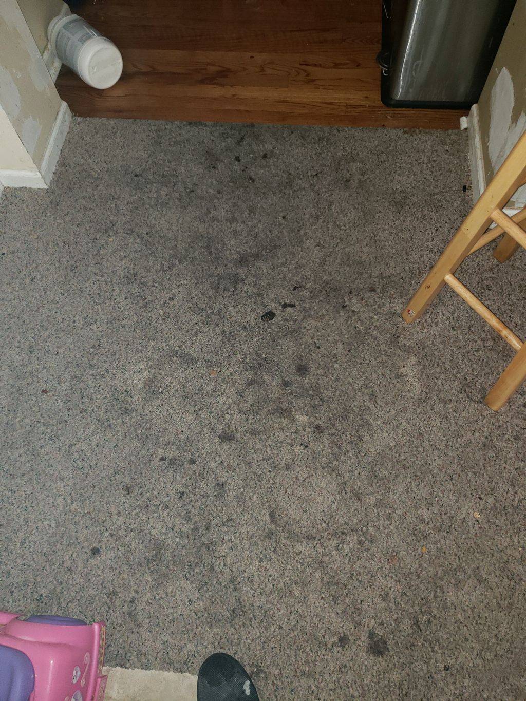 Before carpet cleaning 