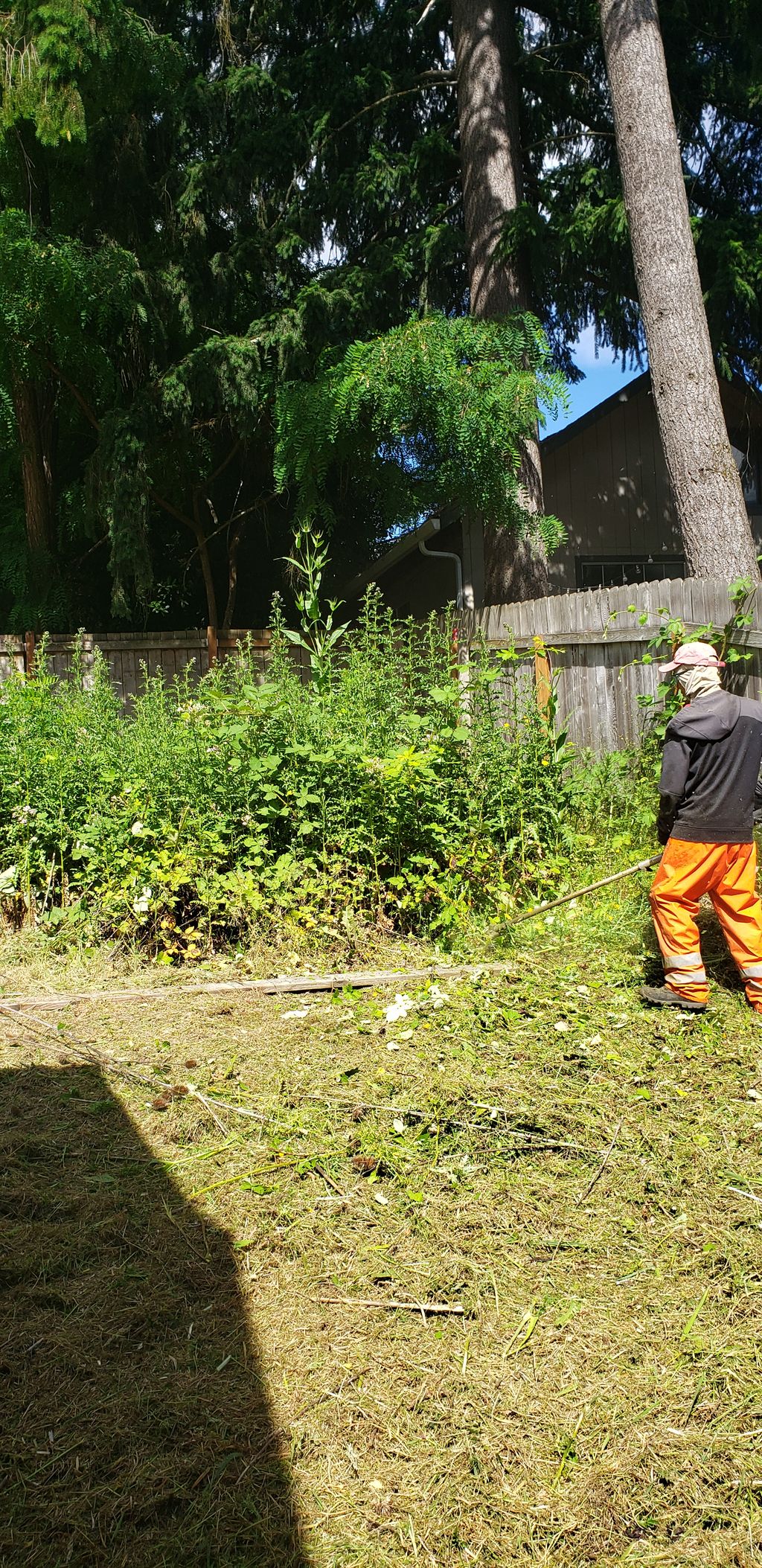 Tree Trimming and Removal