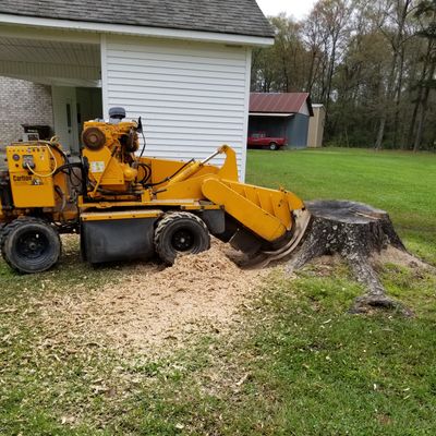 Avatar for Todds stump grinding service