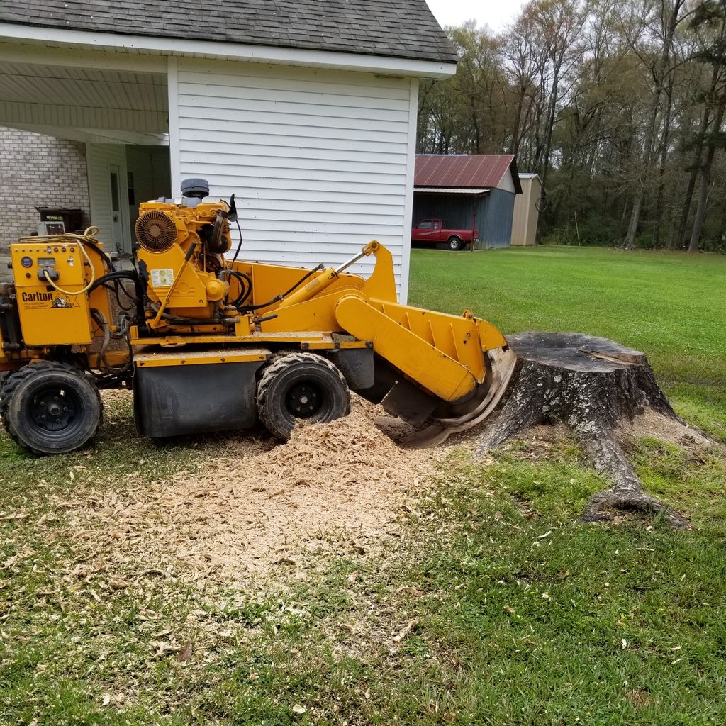 Todds stump grinding service