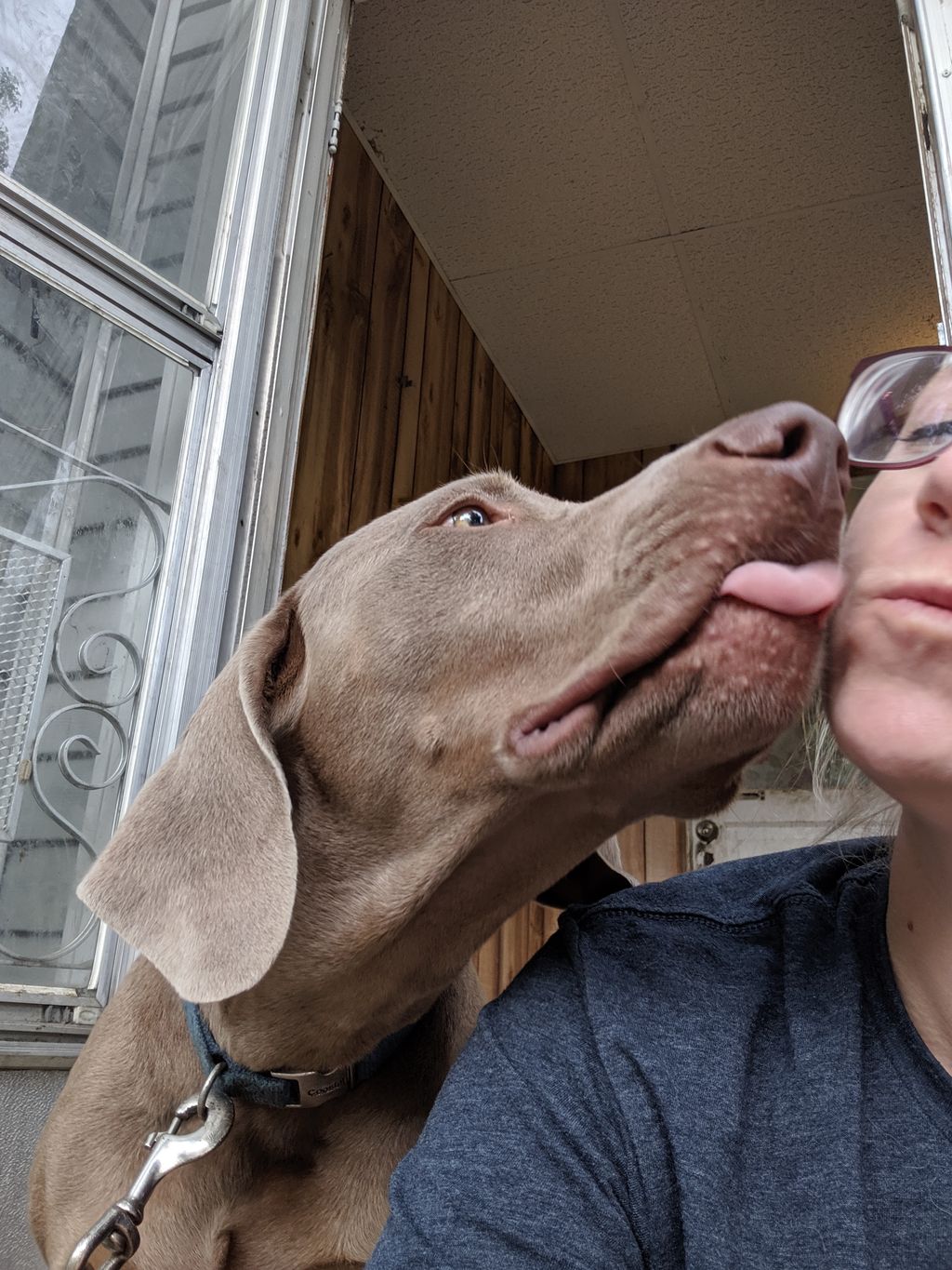 Gohan loving on his pet sitter, Ashley!