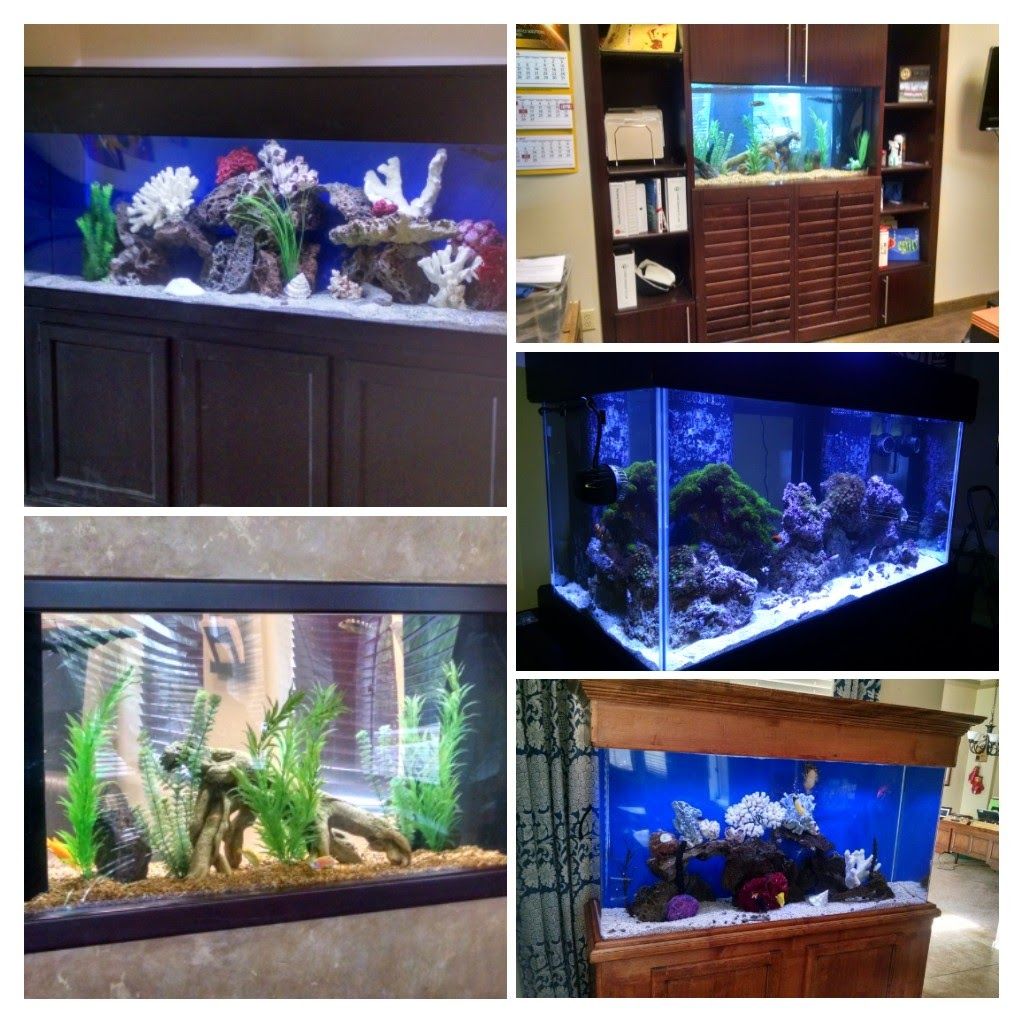 Aquarium Services