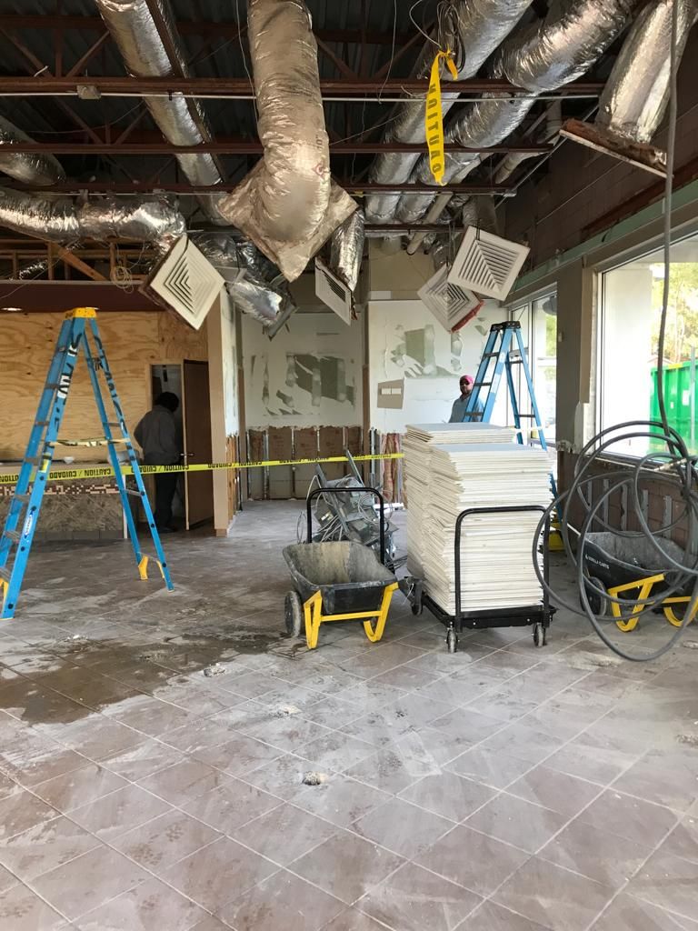 Projects and media