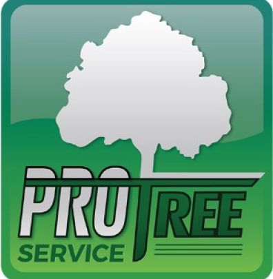 Tree Trimming and Removal